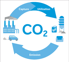 Carbon dioxide capture and utilisation